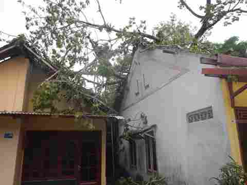 FB_IMG_1453947059637