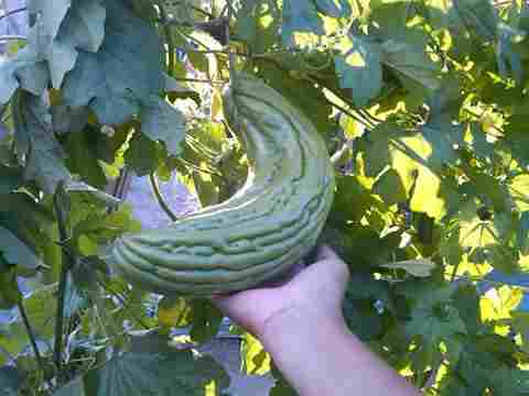 FB_IMG_1455501205957