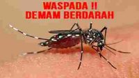 waspada_dbd