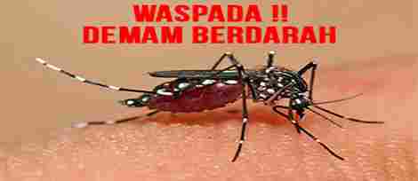 waspada_dbd