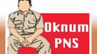 oknum_pns_1