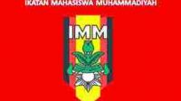 logo-imm