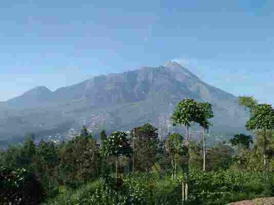 FB_IMG_15436125814740665