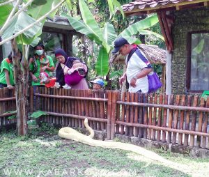 IMG_20160828_101207-01