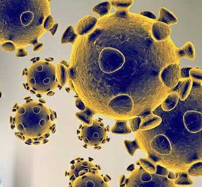 images-01_compress78