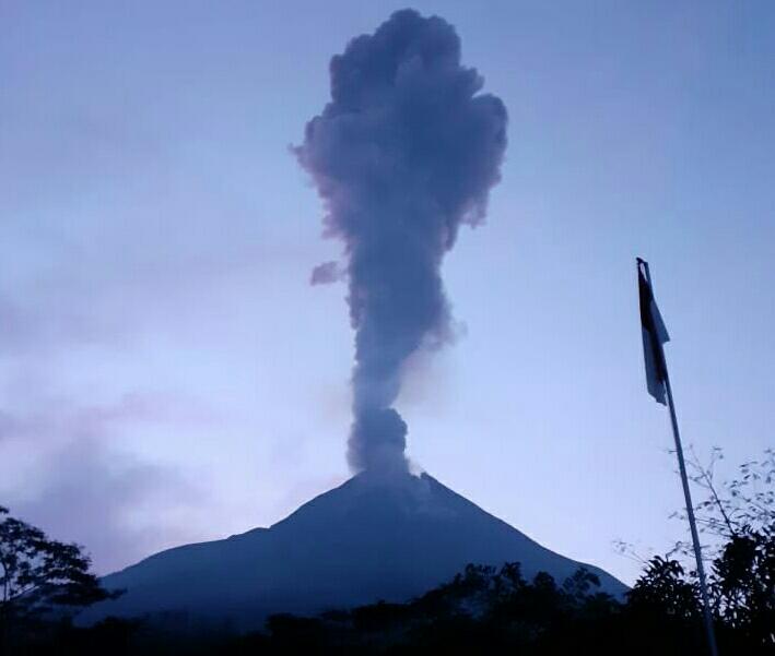 20200328_121430_compress67