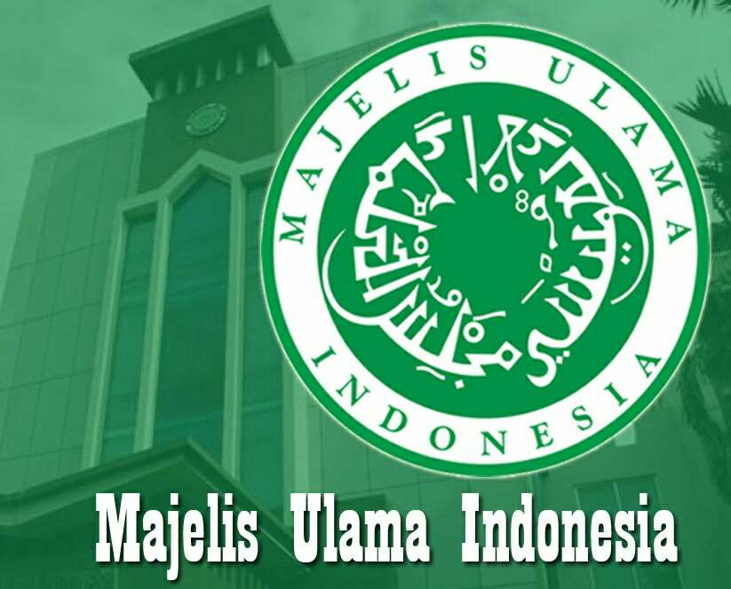 Default-Background-MUI-3-01_compress64