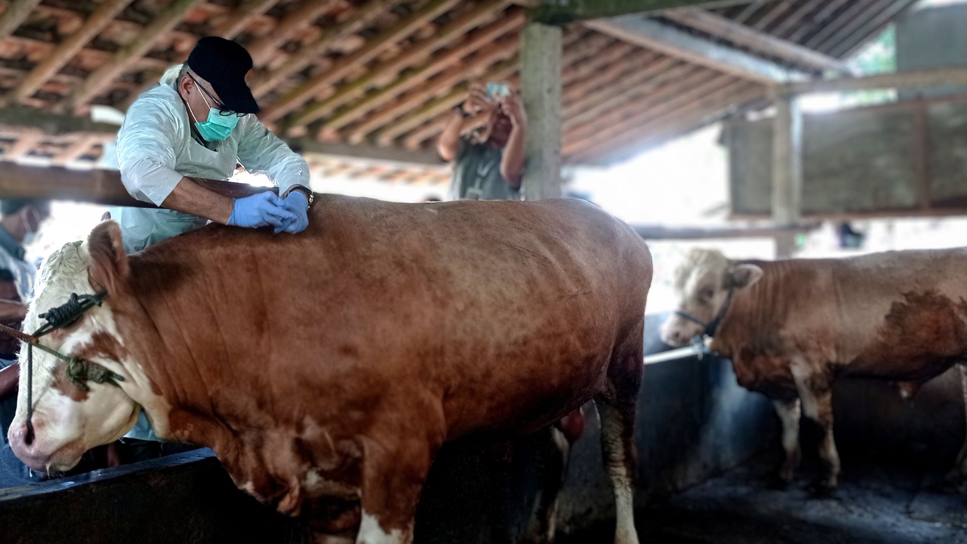 Desain tanpa judul - 2025-01-17T145632.391