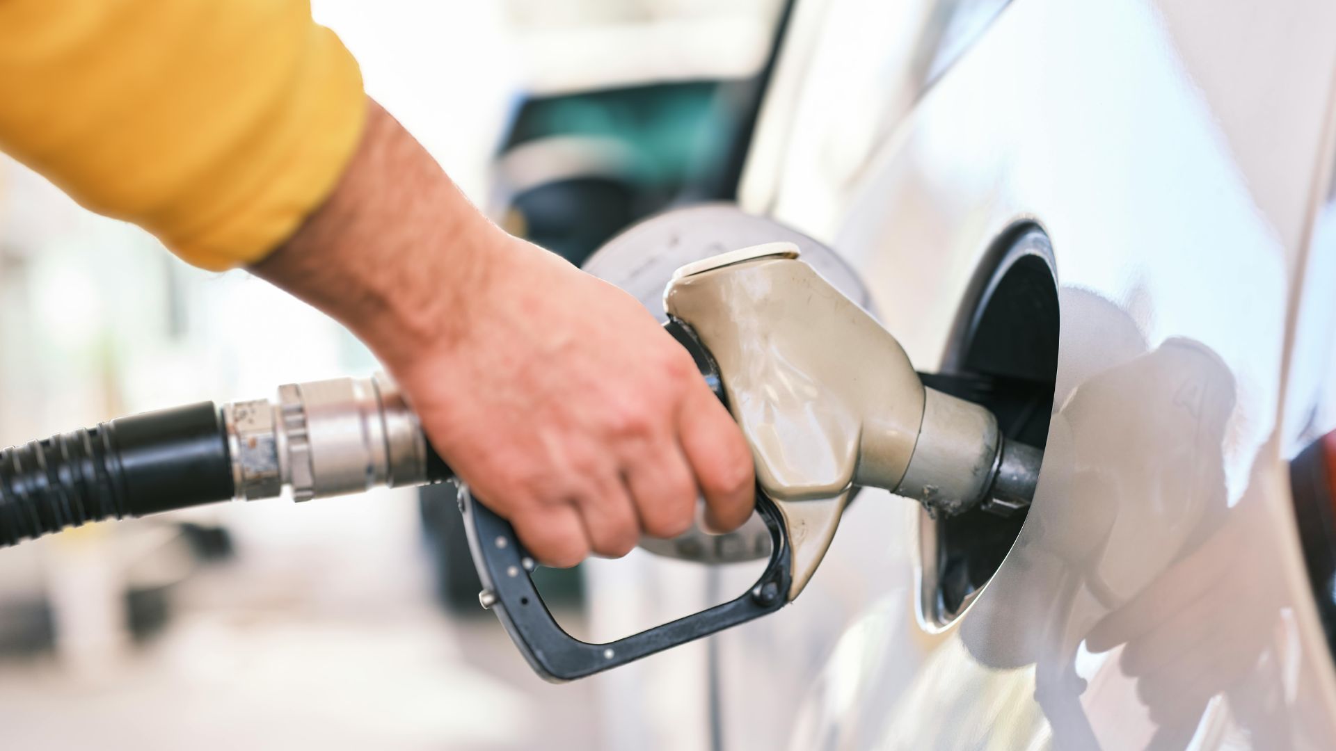 Desain tanpa judul - 2025-03-02T122340.890