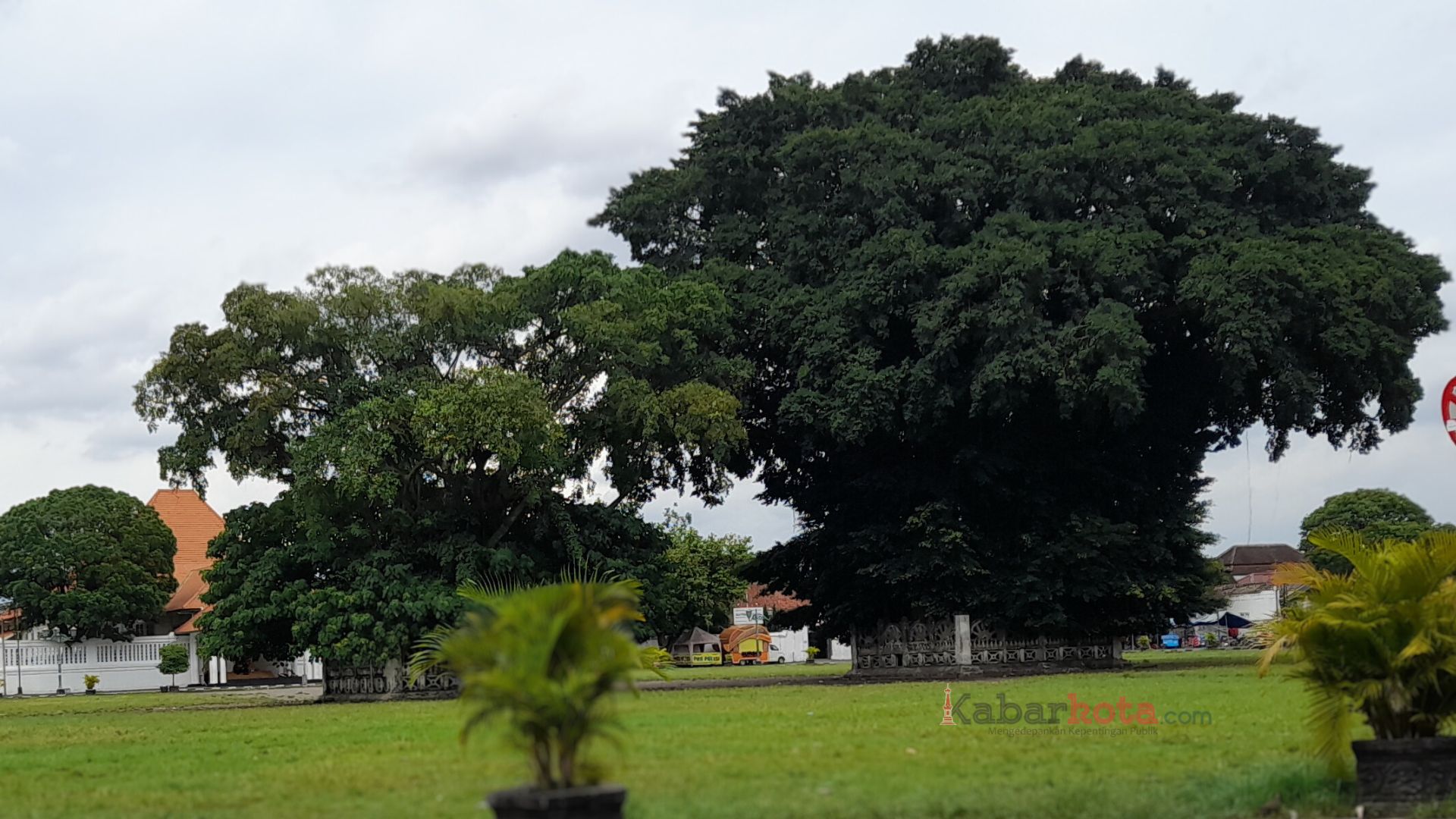 Desain tanpa judul - 2025-06-05T184137.992