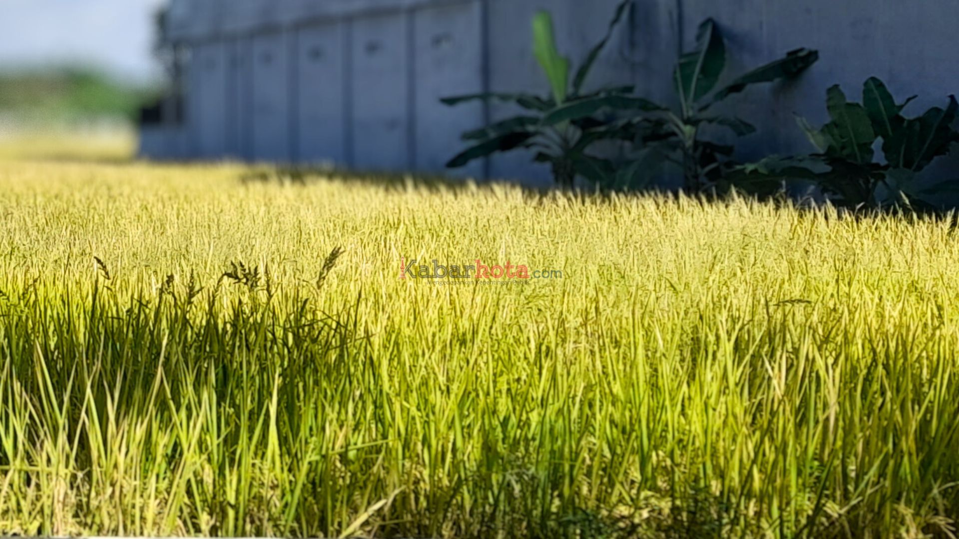 Desain tanpa judul - 2025-06-30T225819.564