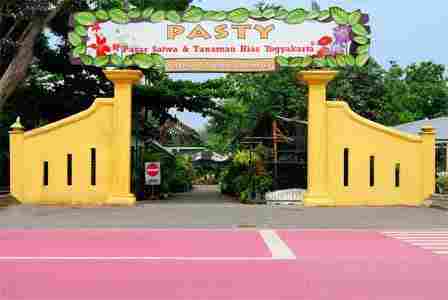 PASTHY: Pasar Flora Fauna bak Kebun Binatang Mini di Yogya