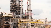 pertamina bbm