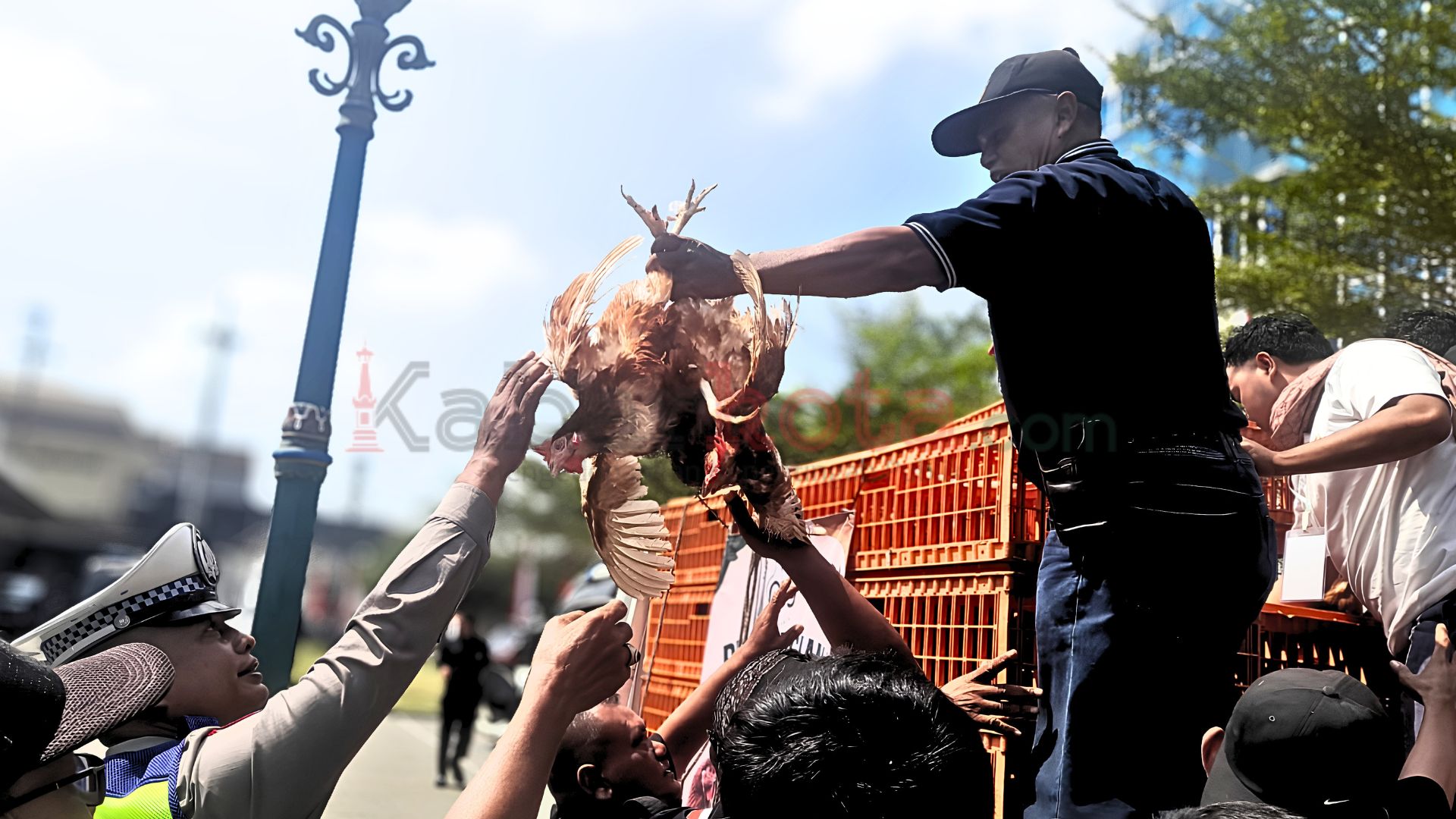demo peternak ayam jogja (1) demo peternak ayam petelur jogja